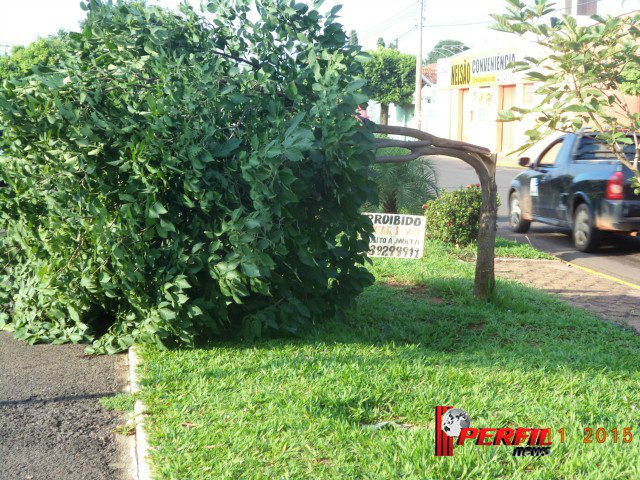 Áreas mais abertas como Lagoa Maior, proximidades do Cemitério e outros Bairros foram as que mais sofreram (Foto:Tatiana Mizobe)