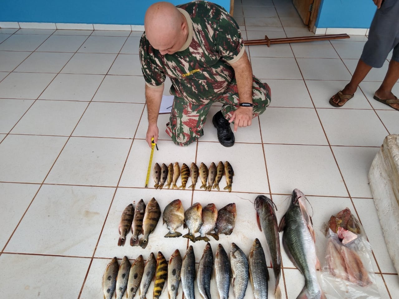 Feirante de Três Lagoas é autuado por venda ilegal de peixes Foto: Divulgação