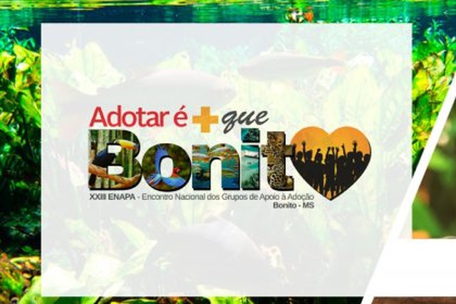 SEMEC de Três Lagoas participa do XXIII Encontro Nacional dos Grupos de Apoio à Adoção Foto: divulgação