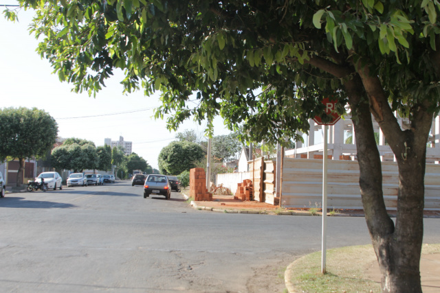 Placa de PARE escondida pela árvore no cruzamento das ruas David de Alexandria e Oscar Guimarães (Foto: Léo Lima)