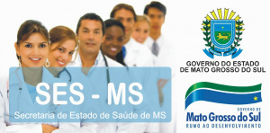 SES registra aumento de casos de febre chikungunya no Estado SES (Secretaria do Estado de Saúde) alerta aumento de seis casos em apenas três meses (Foto: Divulgação)
