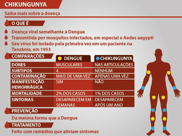 SES registra aumento de casos de febre chikungunya no Estado Sintomas (Foto: Divulgação)