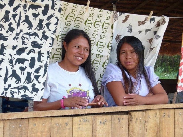 Estudantes de escola pública criam dicionário de línguas indígenas Segundo os estudantes, há apenas cinco falantes da língua ofaié. Foto: Arquivo/Perfil News