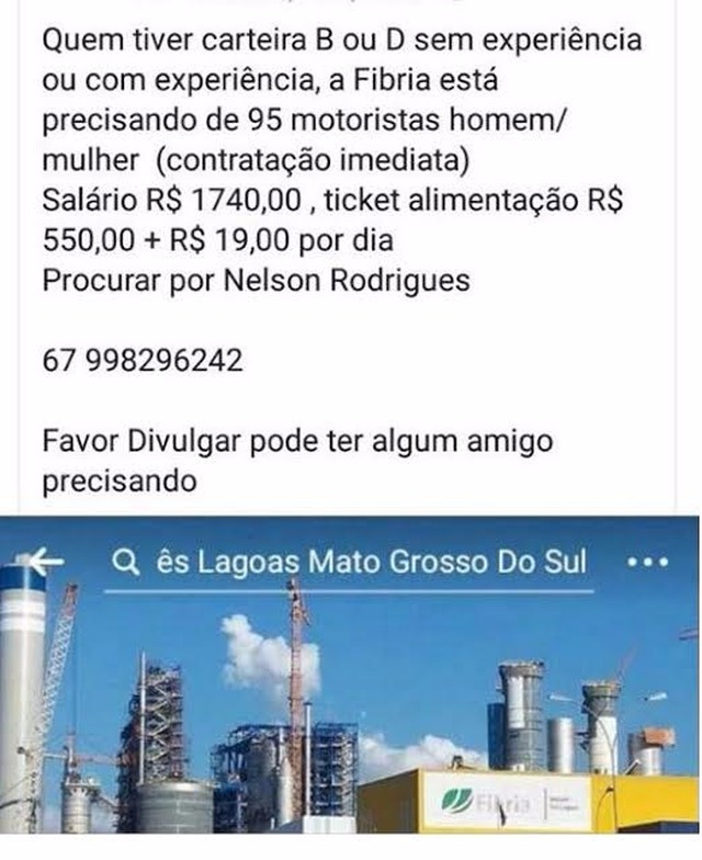 Fibria esclarece falso anúncio de vagas de emprego para Três Lagoas Print da falsa oferta de vagas que vem sendo divulgado nas redes sociais.(Foto/Assessoria)