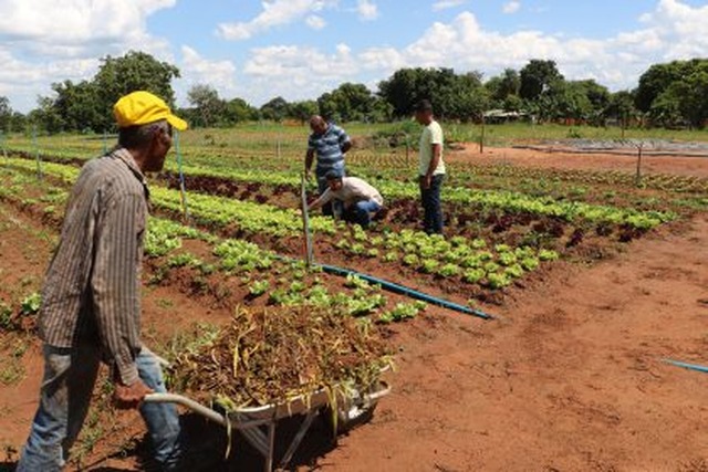 Prefeitura cria Fundo Municipal de Desenvolvimento Agrário em Três Lagoas