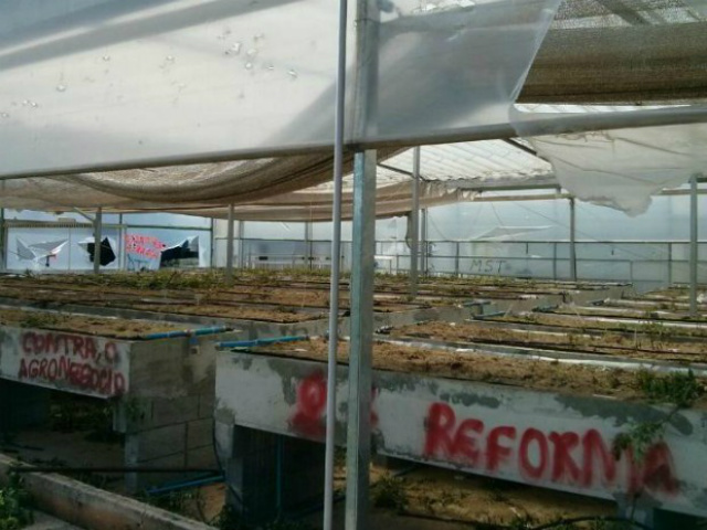 Além de destruírem as mudas de eucalipto, as mulheres picharam as instalações da fábrica (Foto: TV Tem)