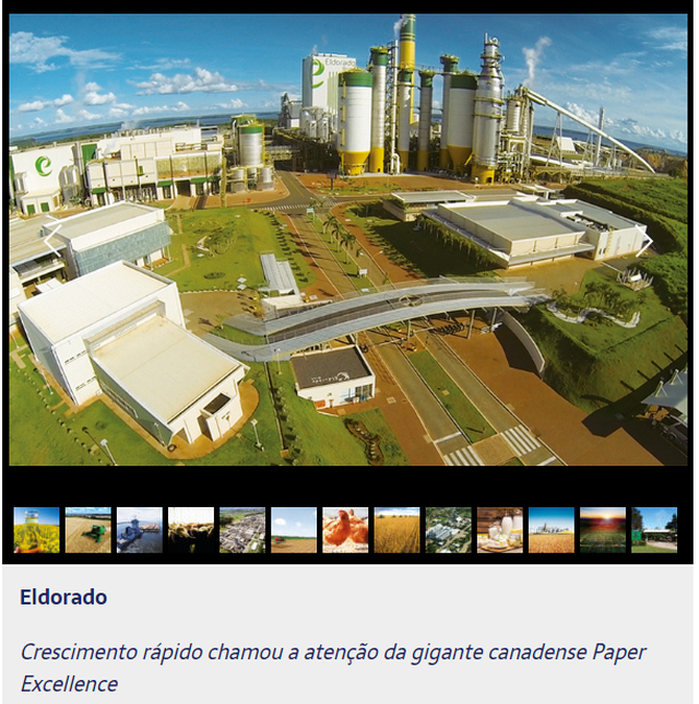 Eldorado e Fibria figuram na lista da Forbes entre as Melhores Empresas do Agronegócios do Brasil Print da tela do site da Forbes Brasil mostra Eldorado entre as 50 Melhores Empresas do Agronegócio do Brasil.