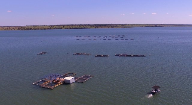 No total serão investidos R$ 150 milhões que vai  incluir a  fábrica de ração e produção de alevinos  (Foto: Edemir Rodrigues/ Notícias MS)