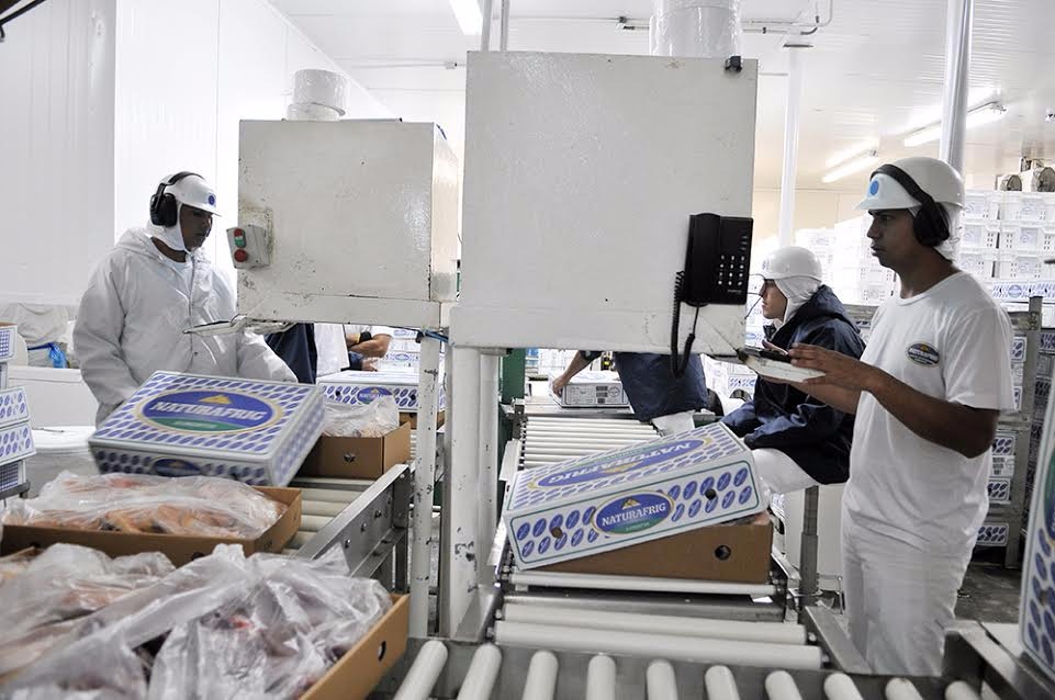 Exportação de industrializados de MS chega a US$ 1,14 bilhão no ano; celuloso somou US$ 411,9 milhões A indústria respondeu por 56% de toda a receita de exportação de Mato Grosso do Sul (Foto/Assessoria)