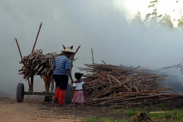 Pesquisa mostra que o número de trabalhadores precoces corresponde a 5% da população que tem entre 5 e 17 anos no Brasil. (Foto: Agência Brasil)