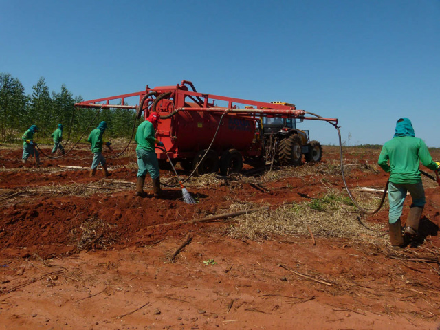 A certificação florestal é um processo voluntário no qual a empresa busca, por meio de uma avaliação independente, demonstrar o compromisso em conservar os recursos naturais, proporcionar condições justas de trabalho e estimular boas relações com a comunidade (Foto: Divulgação/Assecom)