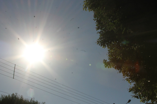 Nas primeiras horas do dia o sol apareceu, elevando as temperaturas. (Foto: Daniela Silis)