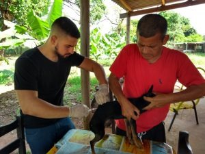 Equipe do CCZ percorre lotes do Cinturão Verde para vacinar cães e gatos contra a raiva Equipe do CCZ percorre lotes do Cinturão Verde para vacinar cães e gatos contra a raiva