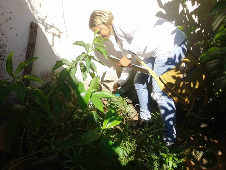 Ações de combate à dengue são intensificadas no bairro Paranapugá Equipes trabalham em conjunto para eliminar focos e criadouros (Foto: Assecom)