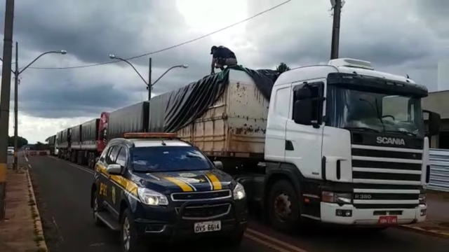 Quatro carretas com placas de GO foram encaminhadas para sede da PF de Campo Grande (MS) (Foto: PRF/Divulgação)