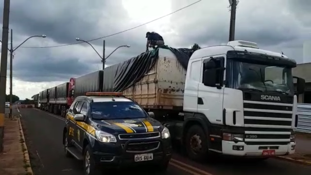 Comboio de carretas carregadas de cigarros contrabandeados é apreendido em MS Quatro carretas com placas de GO foram encaminhadas para sede da PF de Campo Grande (MS) (Foto: PRF/Divulgação)