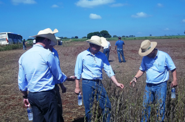 Participantes olham a qualidade da soja plantada na fazenda (Foto: Divulgação/Assecom)
