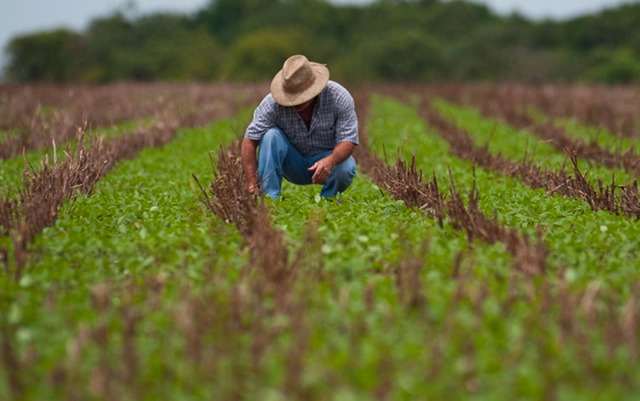 Senado aprova projeto que facilita o crédito ao proprietário rural (Foto/Divulgação)