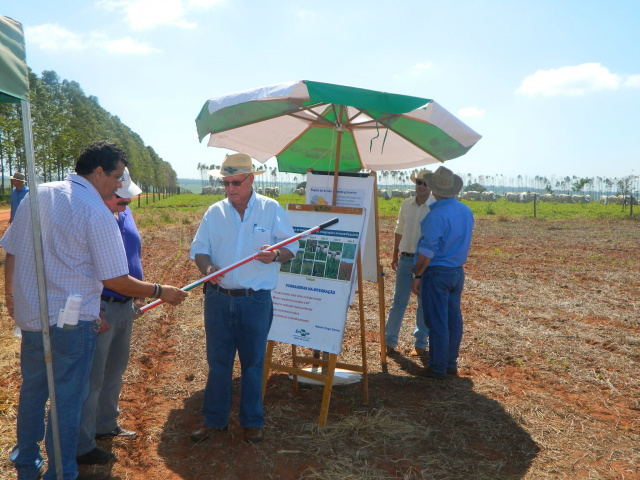 Embrapa mostra resultados do sistema ILP durante Dia de Campo Na ocasião, os pesquisadores Ademir Hugo Zimmer e Júlio César Salton, fizeram uma demonstração do funcionamento da tecnologia de Integração Lavoura e Pecuária a (ILP) como um processo de rotação da cultura da plantação de soja e pastagem (Foto: Divulgação/Assecom)