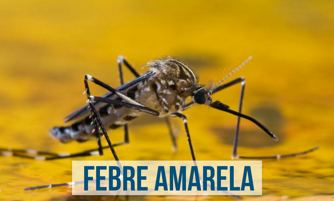 Número de mortes por febre amarela no país sobe para 154 Número de mortes por febre amarela no país sobe para 154