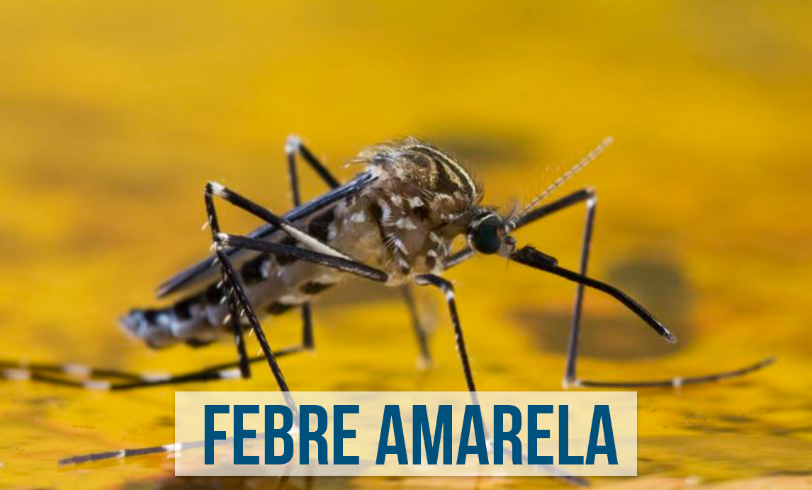 Número de mortes por febre amarela no país sobe para 154