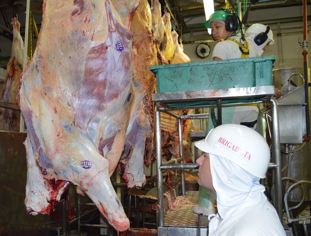 No primeiro trimestre de 2017, os frigoríficos de Mato Grosso do Sul reduziram em 1,85% o número de animais abatidos (Foto/G1 MS