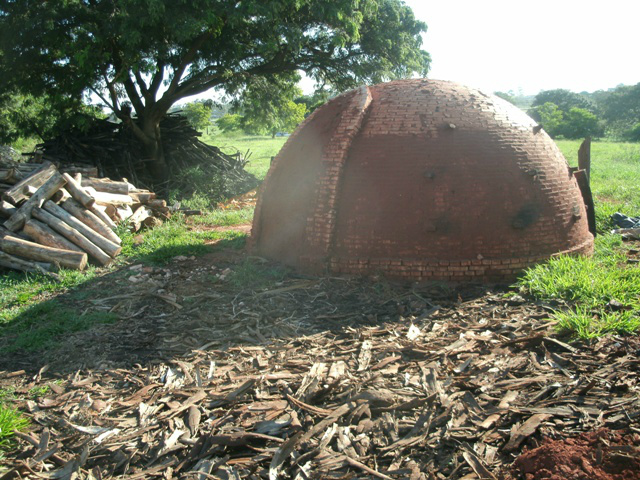 PMA fecha mais uma carvoaria ilegal na Gleba Piravevê em Ivinhema O carvoeiro, residente em Ivinhema, responderá por crime ambiental de funcionar atividade potencialmente poluidora sem autorização ambiental (Foto: Divulgação/PMA)