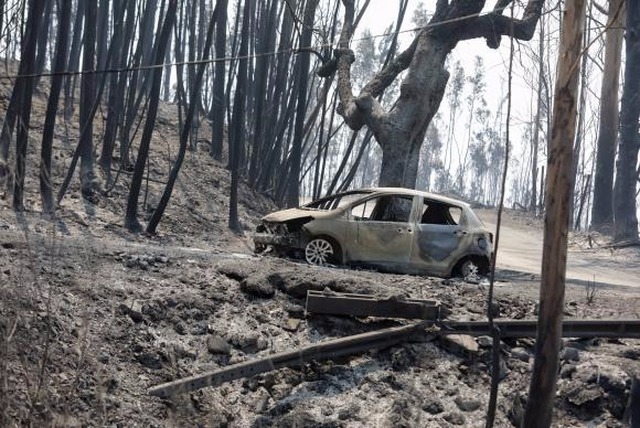 Incêndio florestal de grandes proporções atinge  Portugal Paulo Novais/Lusa