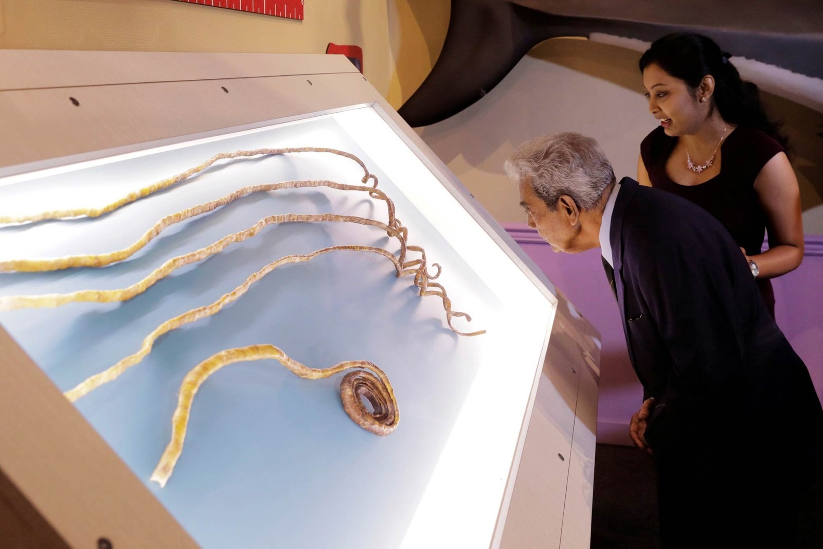 Indiano corta maiores unhas do mundo e expõe em museu de NY O indiano Shridhar Chillal, que detinha o recorde de maiores unhas do mundo após cultivá-las por 66 anos, observa suas enormes unhas cortadas expostas no Museu Ripley Acredite Se Quiser ('Believe It or Not') em Nova York (Foto: Lucas Jackson/Reuters)