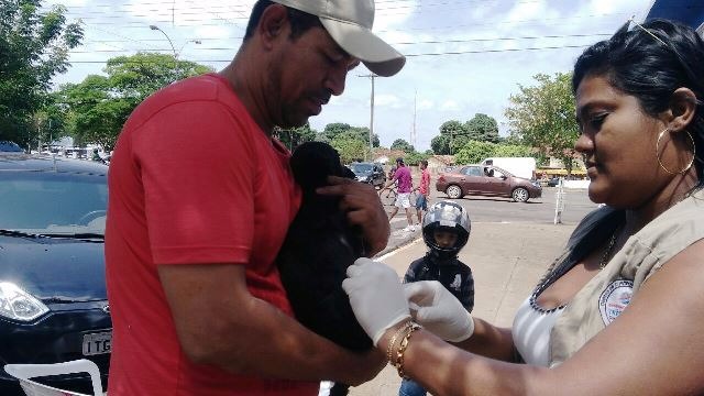 Equipes estarão novamente vacinando cães e gatos, no próximo dia 2 em nove locais. (Foto: Secom Três Lagoas)
