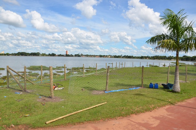 Prefeitura de Três Lagoas comemora plantio de árvores na Lagoa Maior por parte da Fibria Uma área total de 4.200 metros quadrados, serão plantadas 270 árvores (Foto:Assessoria)