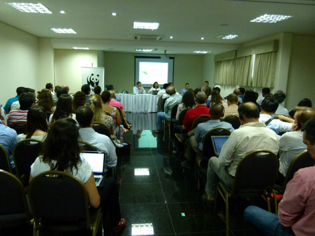 Especialistas e representantes do setor florestal, produtores de carvão vegetal, aço e papel e celulose de 15 países estarão reunidos no Mato Grosso do Sul, nesta semana, para discutir a integração do planejamento do uso do solo nas práticas florestais e agrícolas (Foto: Divulgação/Assecom)