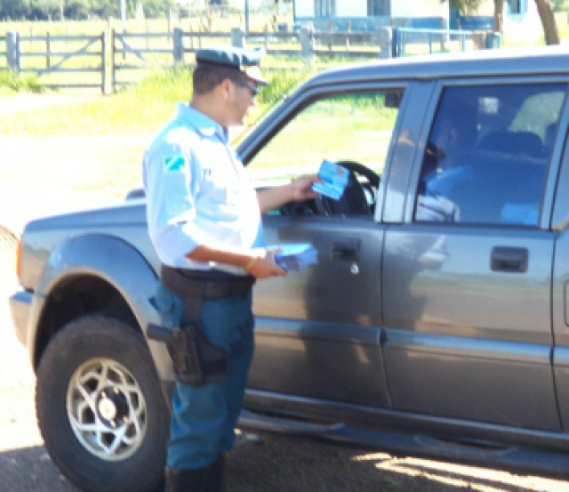 O trimestre registrou ainda a apreensão de mais de sete toneladas de maconha, recuperações de veículos furtados/roubados, apreensões de armas de fogo (Foto: 14º BPMRv)