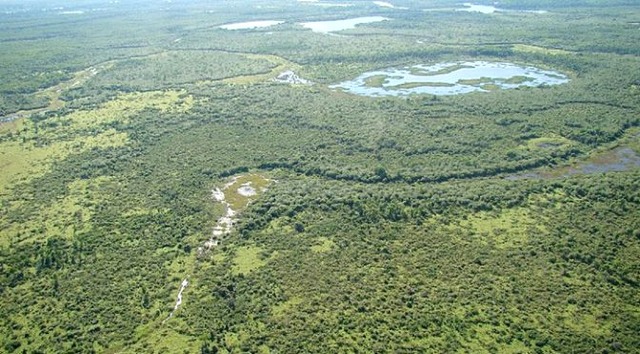 O acumulado das chuvas nas últimas 48 horas na cabeceira da bacia foi de 217 mm, o que fez elevar o nível do rio Miranda, com grande possibilidade em atingir a cota de Emergência (7 metros) e começar a transbordar. (Foto: Divulgação)