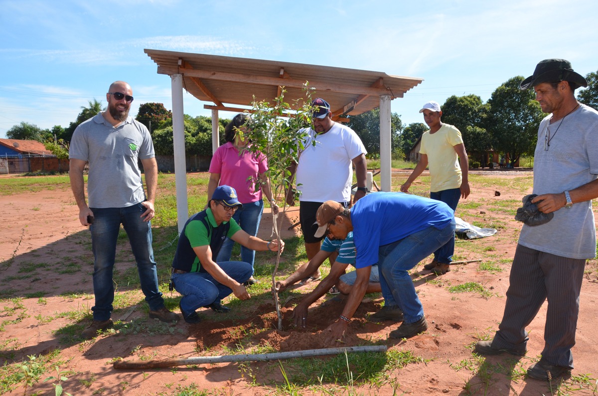 Projeto Áreas Mais Verdes realiza plantio de árvores no Santa Rita (Fotos: Diretoria de Comunicação).