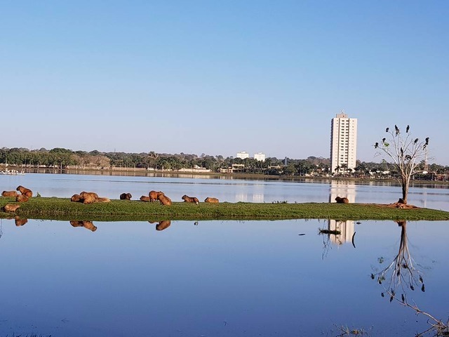 Com calor de 35ºC, domingo promete ser quente em Três Lagoas Domingo deve ser ensolarado em Três Lagoas. (Foto: Perfil News).