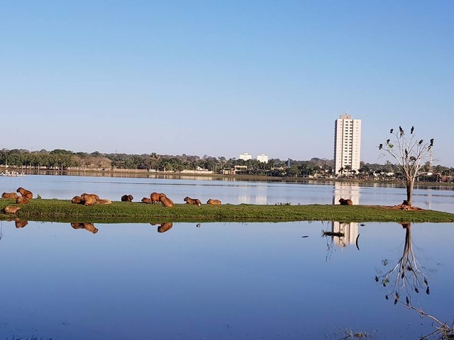 Domingo deve ser ensolarado em Três Lagoas. (Foto: Perfil News).