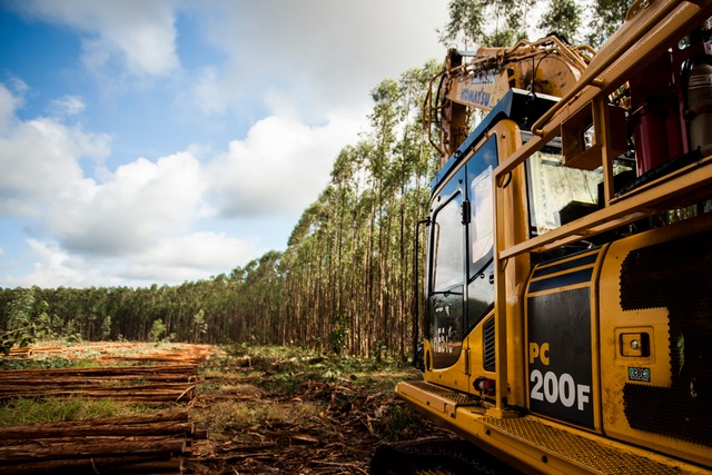 Fibria investe em sistema de monitoramento por câmeras na colheita de eucalipto e melhora gestão operacional em Três Lagoas Iniciativa busca aperfeiçoar capacitação operacional e aumentar produtividade, além de ganhos em segurança e taxa de utilização das máquinas (Foto/Assessoria)