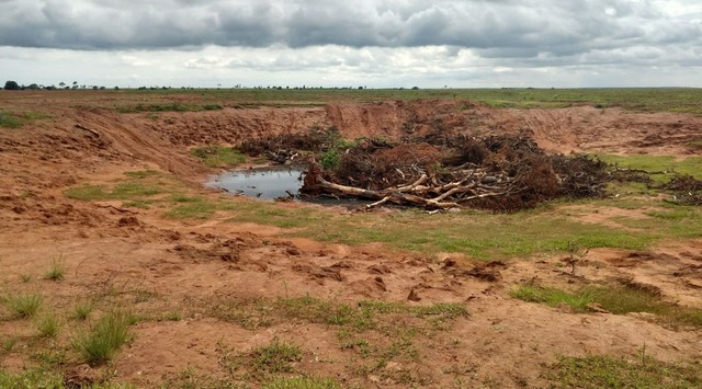 PMA autua fazendeiro paulista em R$ 10,9 mil por desmatamento O infrator responderá por crime ambiental. (Foto: Divulgação Assessoria)