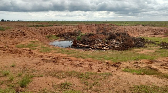 O infrator responderá por crime ambiental. (Foto: Divulgação Assessoria)