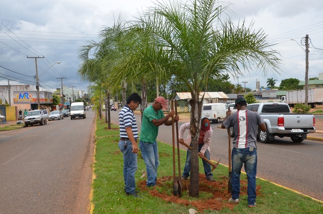 A retirada das árvores obedece ao projeto de revitalização da via que irá receber modificações, inclusive, no canteiro central.(Foto Assessoria)