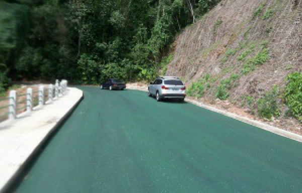 O asfalto também é permeável, evitando enchentes (Foto: Painel Florestal)
