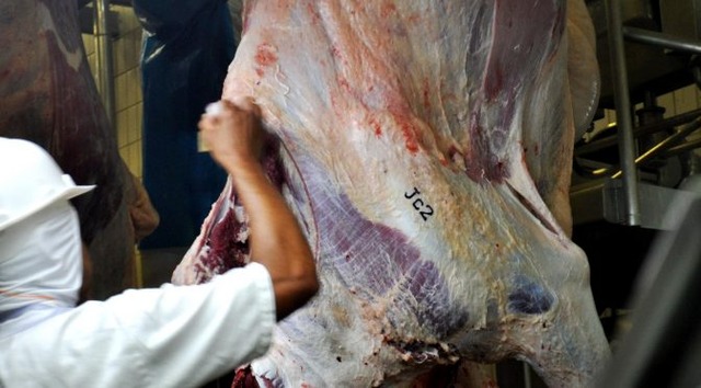 Governo debate monitoramento de carbono na agropecuária e lança Carne Sustentável do Pantanal (Foto Governo do Estado)