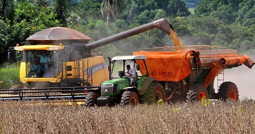 Produtores aproveitam “estiada” no clima para poder retirar grãos das lavouras. (Foto: Valdenir Rezende / Correio do Estado)