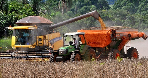 Efeito argentina e alta do dólar elevam em até 8% valor da soja Produtores aproveitam “estiada” no clima para poder retirar grãos das lavouras. (Foto: Valdenir Rezende / Correio do Estado)