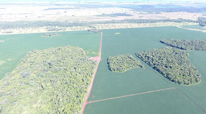 A multa é de R$ 1.000,00 por hectare ou fração e R$ 5.000,00 se for em área protegida de Preservação Permanente ou Reserva Legal. (Foto: Divulgação)