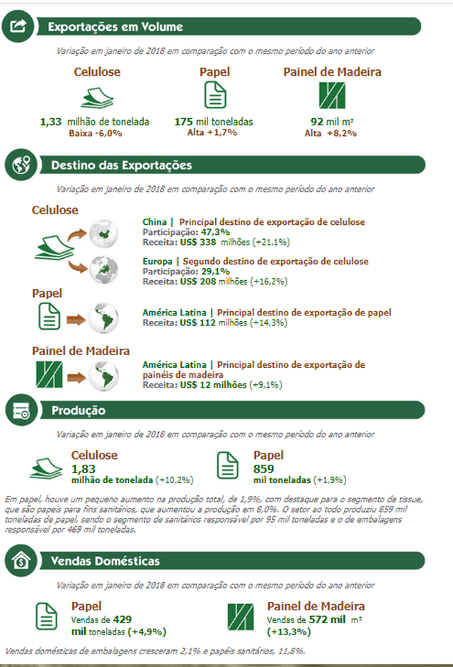 Exportações do setor florestal representam 5,3% do valor vendido pelo Brasil e 14,6% do agronegócio