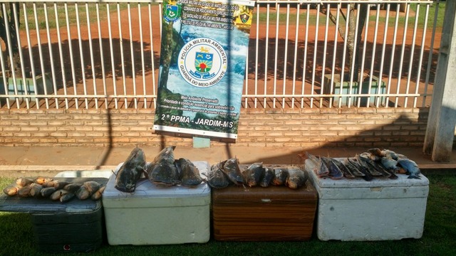 PMA apreende quase duas toneladas de pescado e autua 56 pessoas em operação Piracema O valor das multas nesta operação foi 23% superior à operação passada. (Foto: Divulgação)