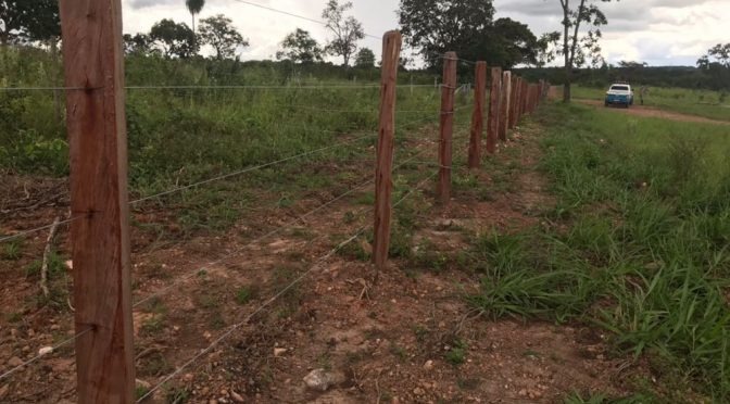 Pecuarista é autuado em R$ 3,5 mil por derrubada de árvores protegidas O infrator foi autuado administrativamente e multado em R$ 3.500,00. (Foto: Divulgação)
