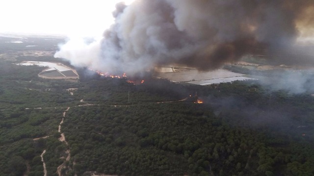 Incêndio ameaça parque nacional espanhol, patrimônio da humanidade Mais de 1.800 pessoas foram forçadas a sair da região, disseram autoridades citadas pela agência France Presse(Foto: France Presse)
